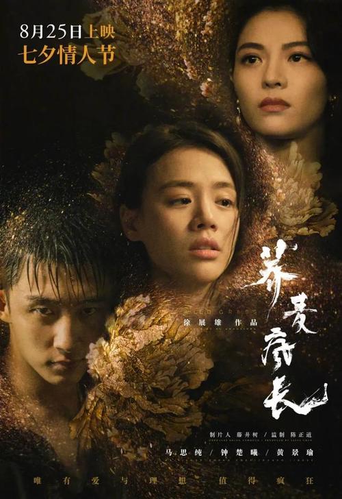 高中毕业证哪年开始联网的